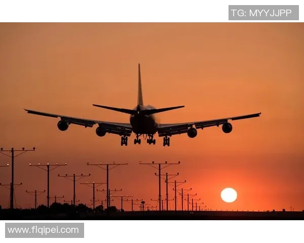 成都极限运动队团队协作引发热议与争议的背后故事