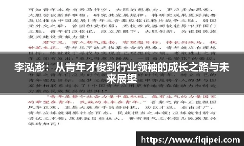李泓澎：从青年才俊到行业领袖的成长之路与未来展望